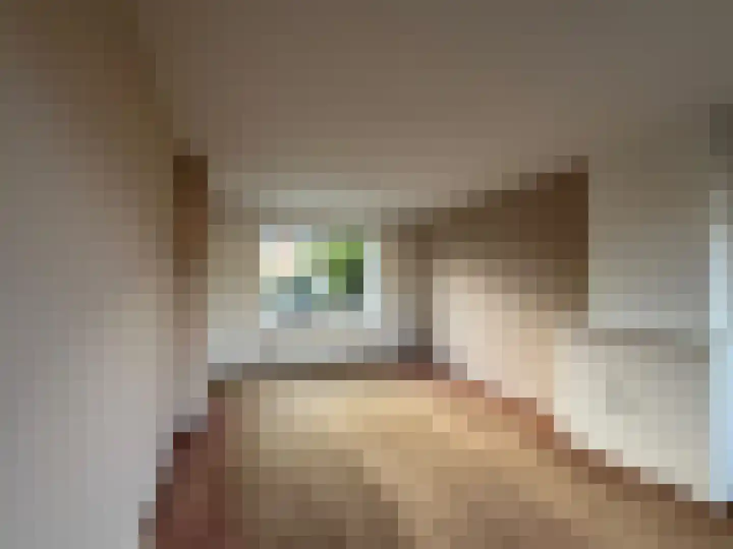 Anemonenstraat 4 Purmerend thumbnail 7
