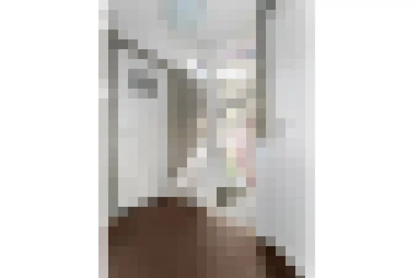 Anemonenstraat 9 Geleen thumbnail 15