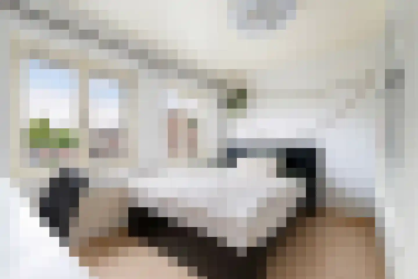 Anemonenstraat 9 Geleen thumbnail 16