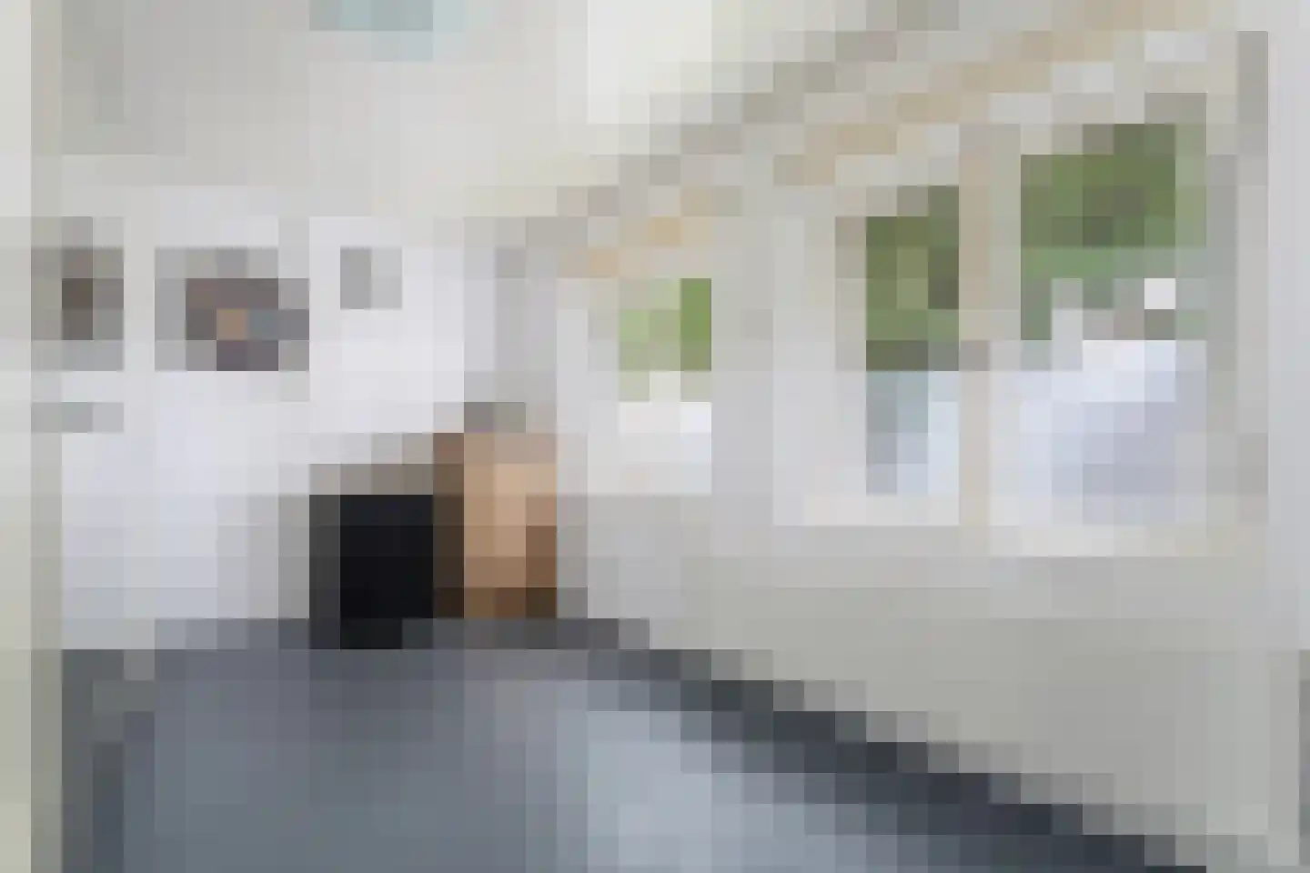 Anemonenstraat 9 Geleen thumbnail 17