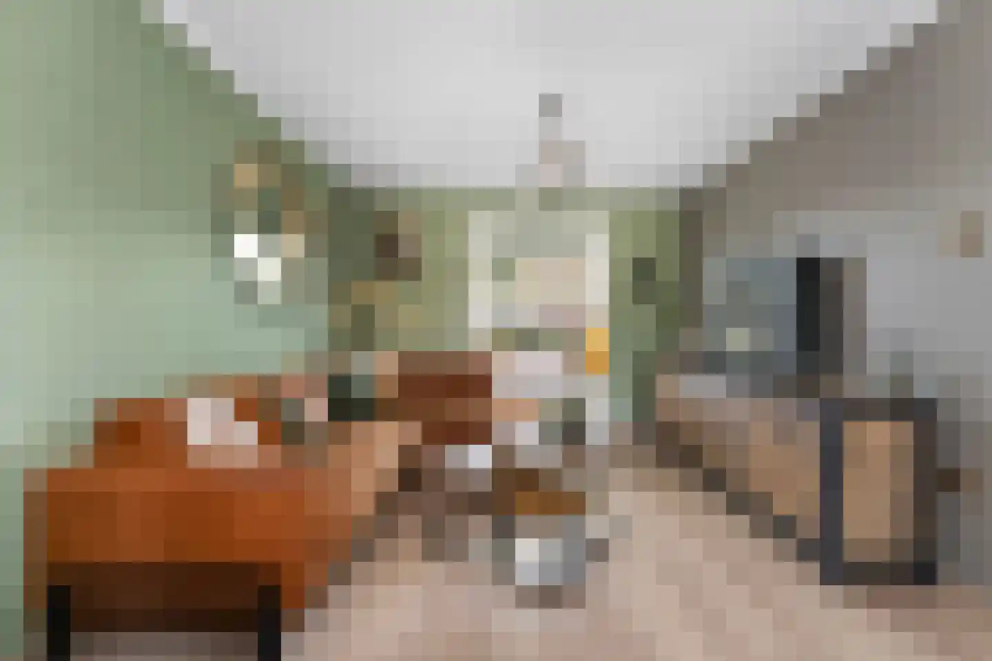 Anemonenstraat 9 Geleen thumbnail 5