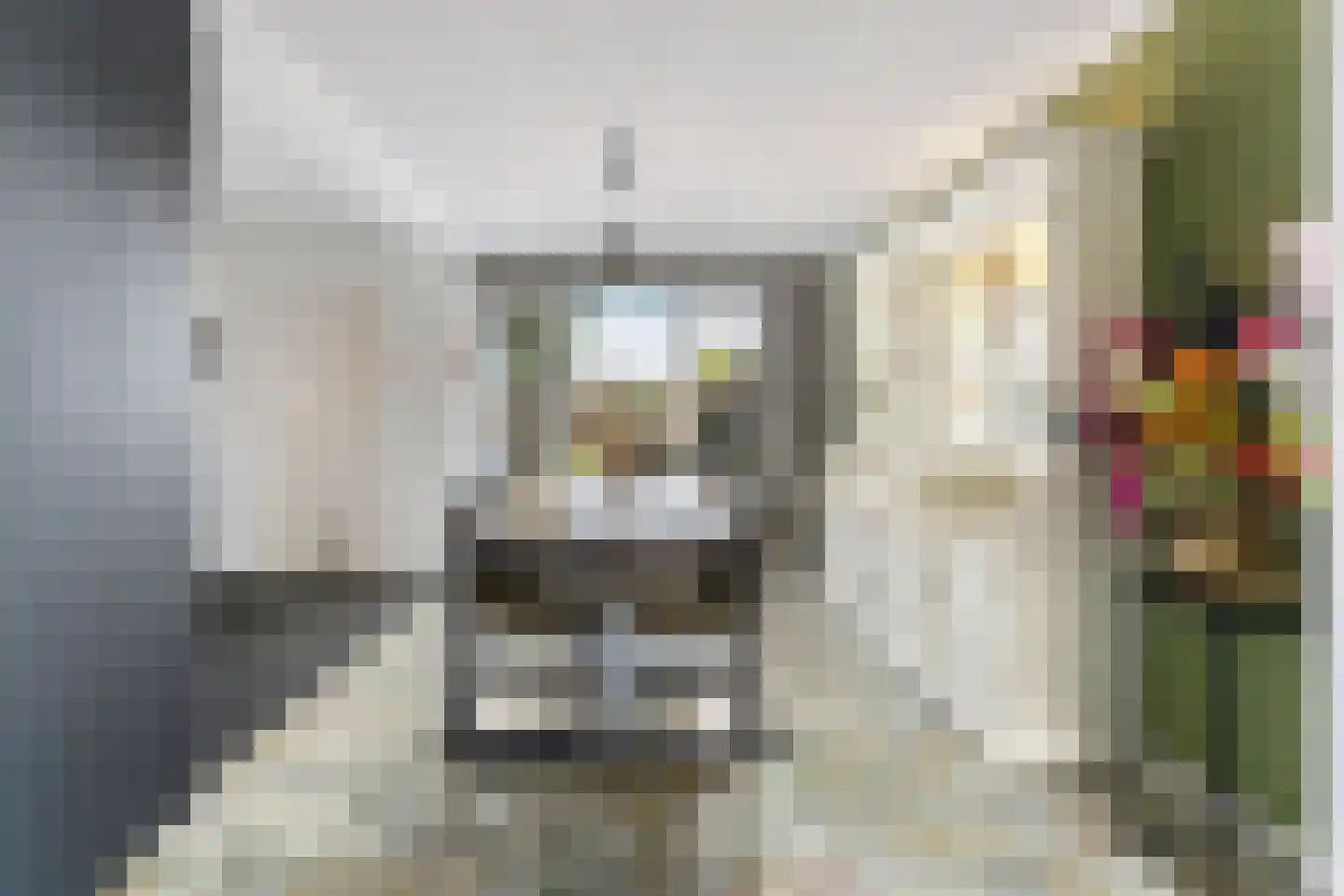 Anemonenstraat 9 Geleen thumbnail 6