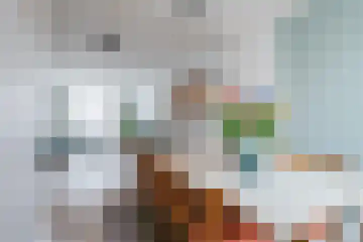 Anemonestraat 14 Eindhoven thumbnail 13