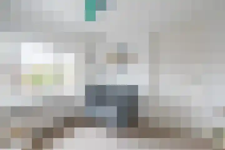 Anemonestraat 14 Eindhoven thumbnail 20