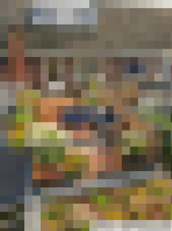Anemonestraat 14 Eindhoven thumbnail 24