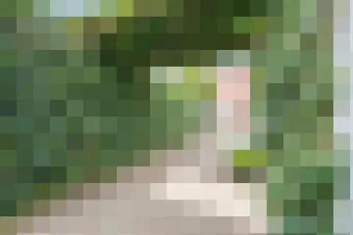 Anemonestraat 14 Eindhoven thumbnail 32