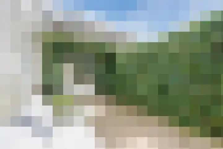 Anemonestraat 14 Eindhoven thumbnail 33