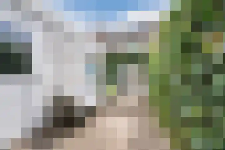 Anemonestraat 14 Eindhoven thumbnail 34