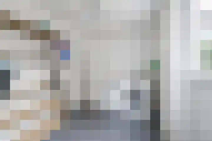 Anemonestraat 14 Eindhoven thumbnail 36