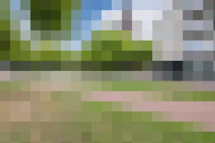 Anemonestraat 14 Eindhoven thumbnail 41
