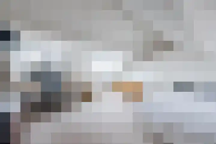 Anemonestraat 14 Eindhoven thumbnail 6
