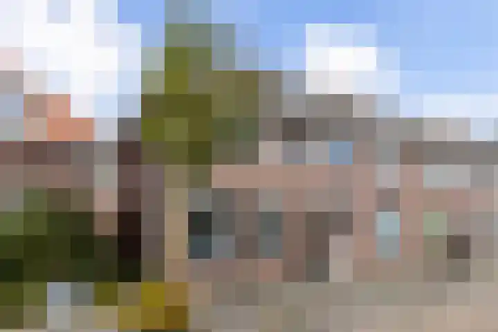 Anemonestraat 18 in Eindhoven