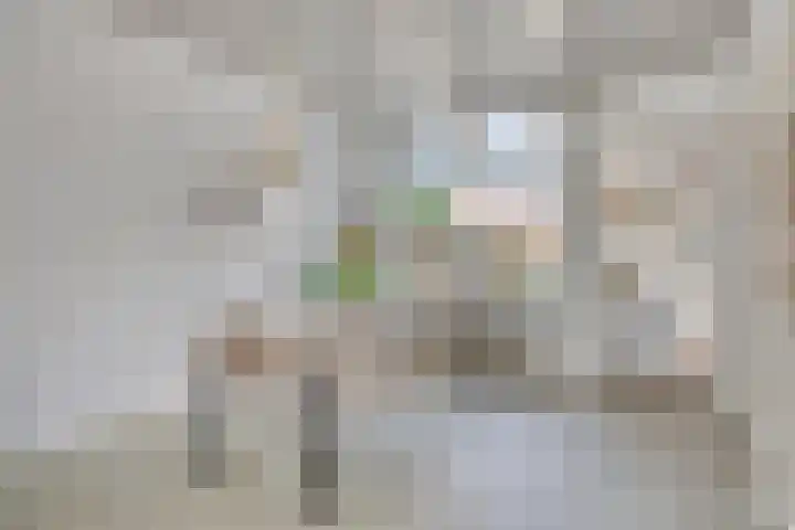 Anemonestraat 18 Eindhoven thumbnail 10