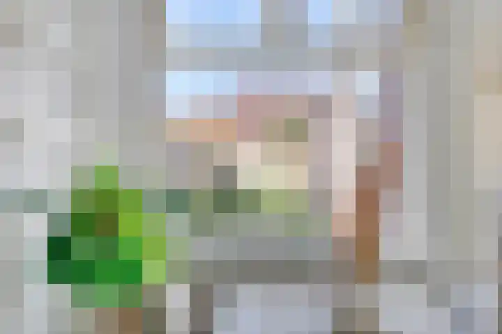 Anemonestraat 18 Eindhoven thumbnail 11