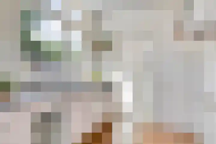 Anemonestraat 18 Eindhoven thumbnail 12
