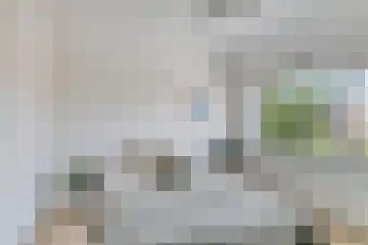 Anemonestraat 18 Eindhoven thumbnail 22