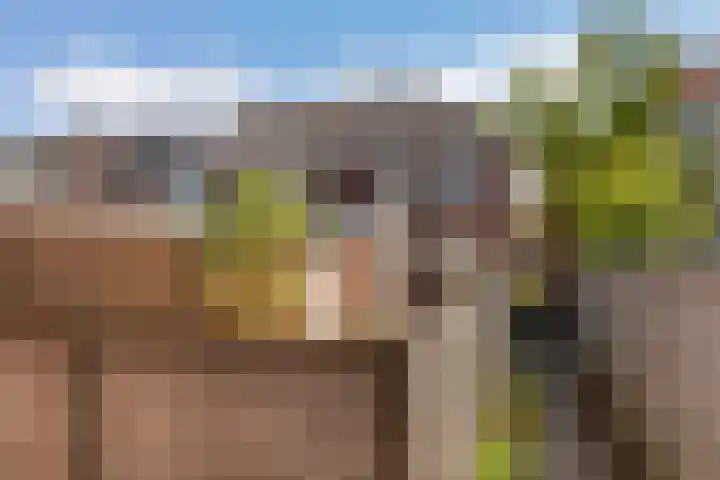 Anemonestraat 18 Eindhoven thumbnail 24