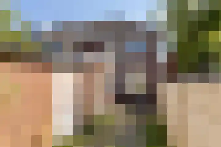 Anemonestraat 18 Eindhoven thumbnail 25