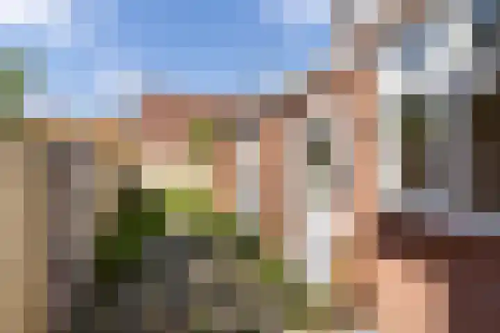 Anemonestraat 18 Eindhoven thumbnail 26