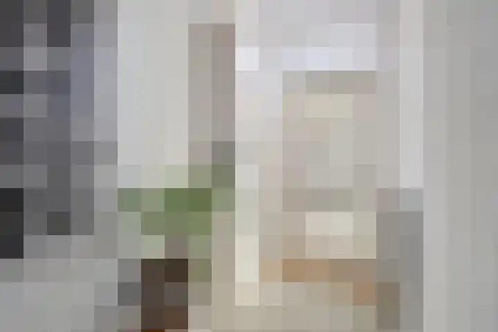 Anemonestraat 18 Eindhoven thumbnail 5