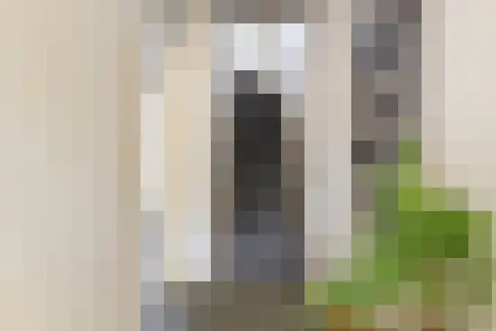 Anemonestraat 18 Eindhoven thumbnail 6