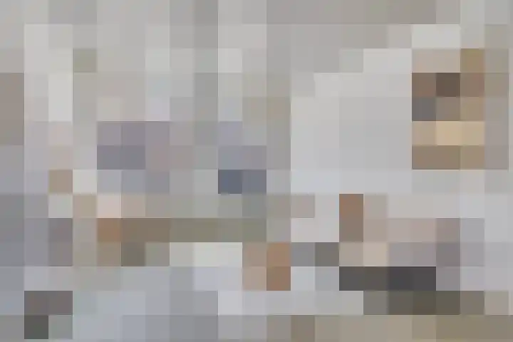 Anemonestraat 18 Eindhoven thumbnail 7