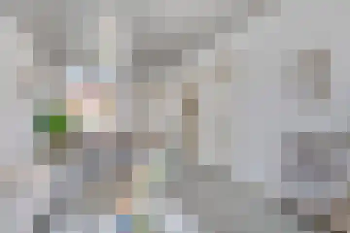 Anemonestraat 18 Eindhoven thumbnail 8