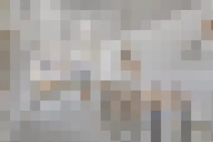 Anemonestraat 18 Eindhoven thumbnail 9