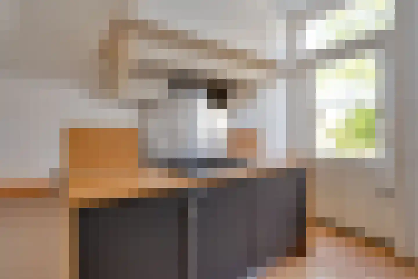 Anemonestraat 2 Eindhoven thumbnail 10