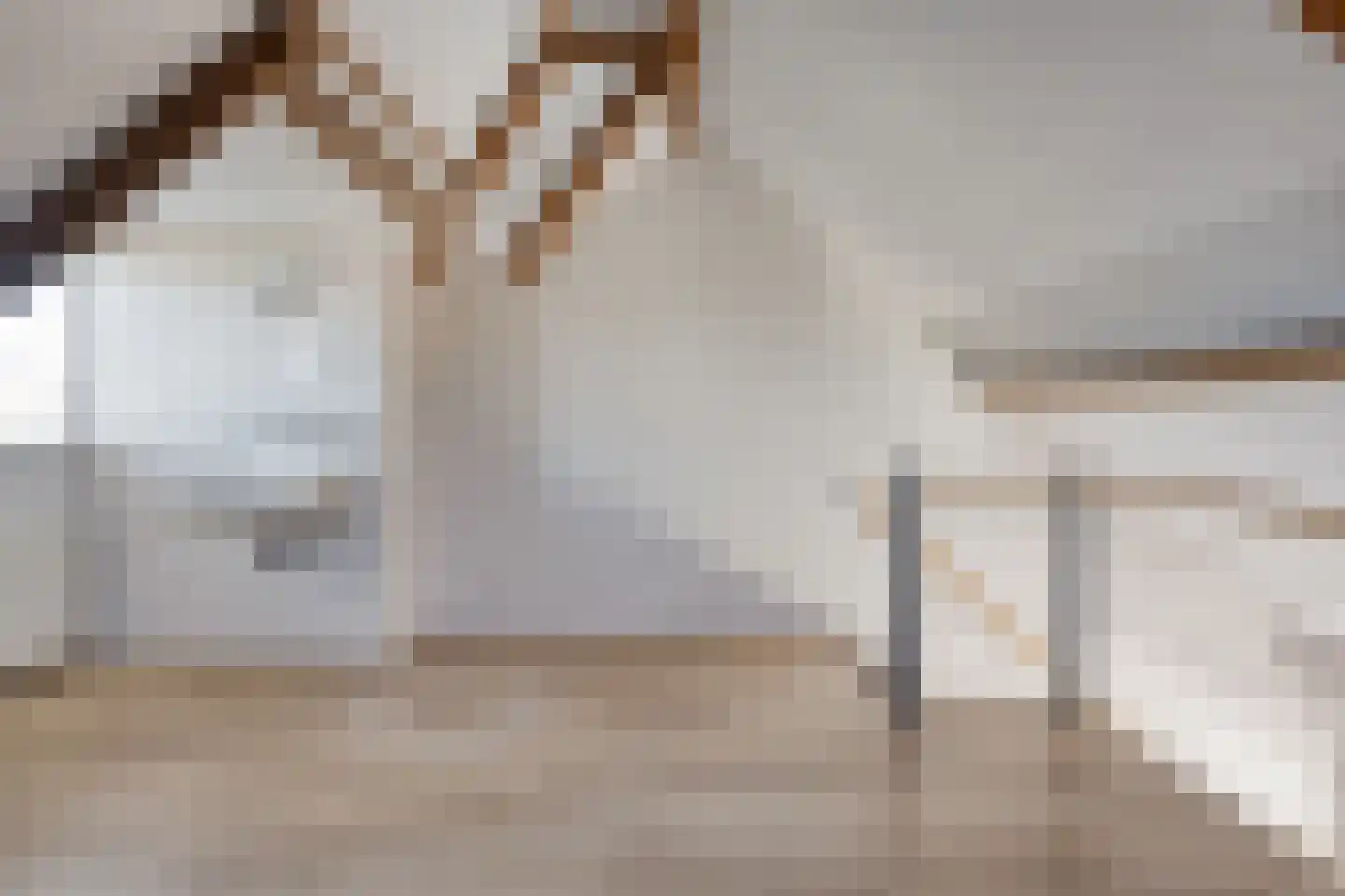 Anemonestraat 2 Eindhoven thumbnail 26