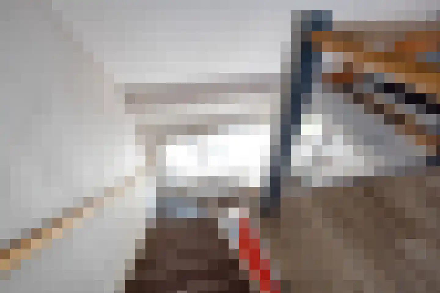 Anemonestraat 2 Eindhoven thumbnail 28