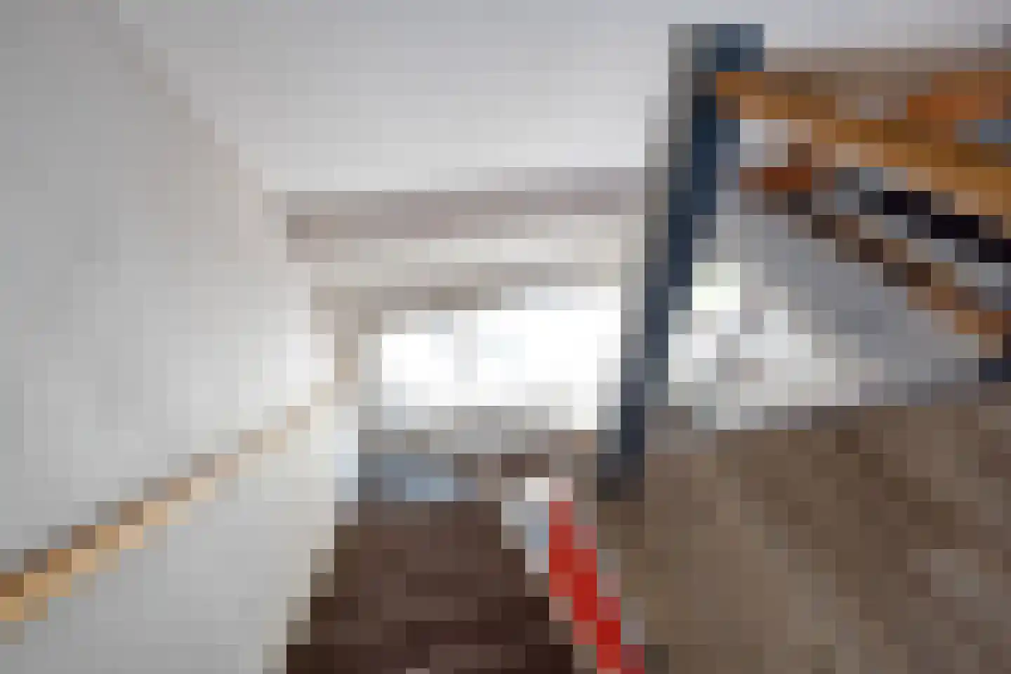 Anemonestraat 2 Eindhoven thumbnail 28