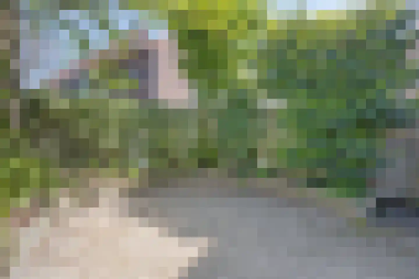 Anemonestraat 2 Eindhoven thumbnail 30