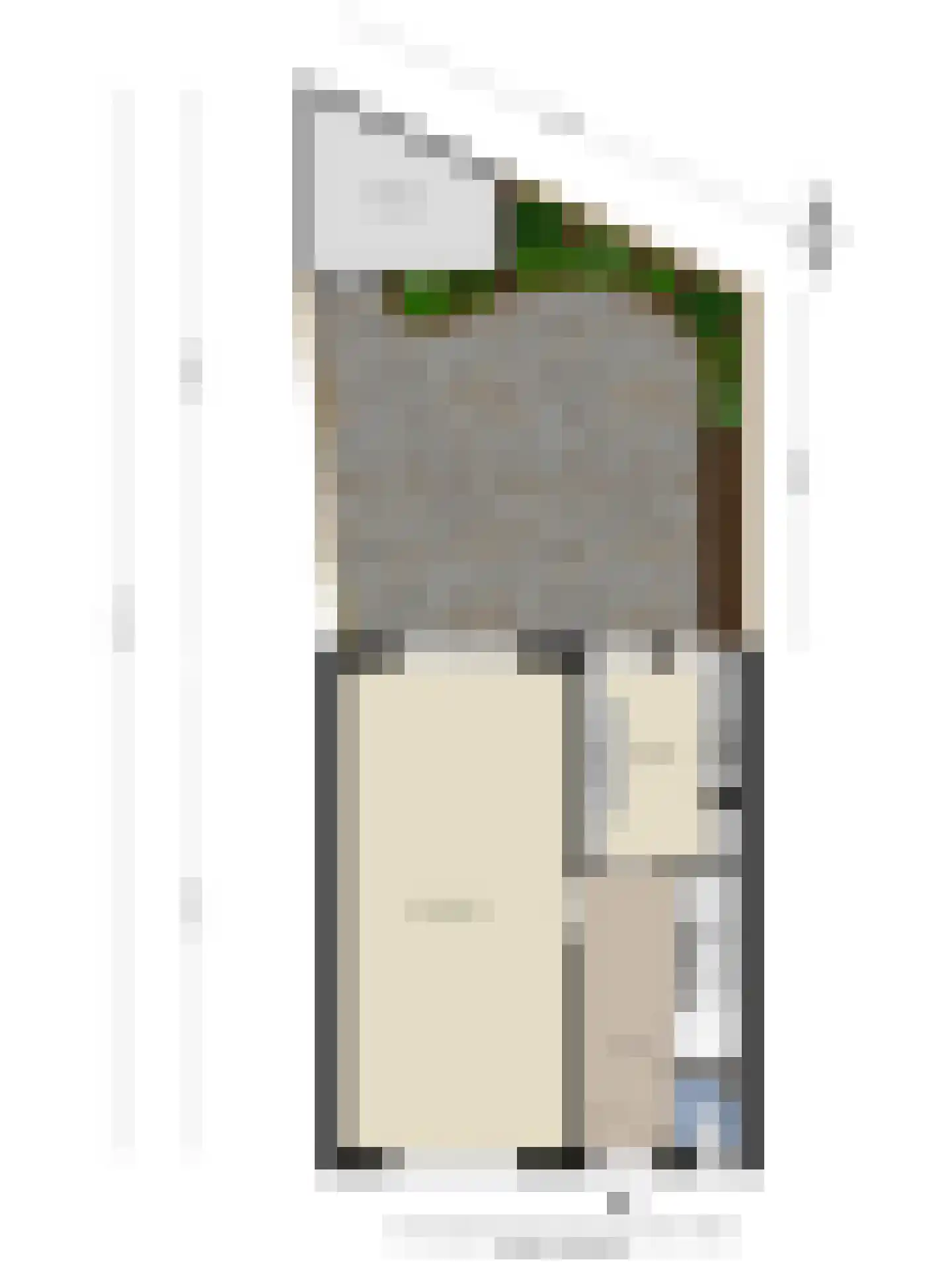 Anemonestraat 2 Eindhoven thumbnail 42