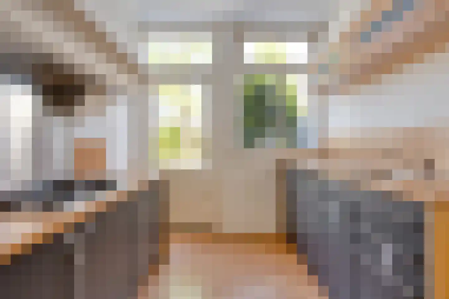 Anemonestraat 2 Eindhoven thumbnail 9