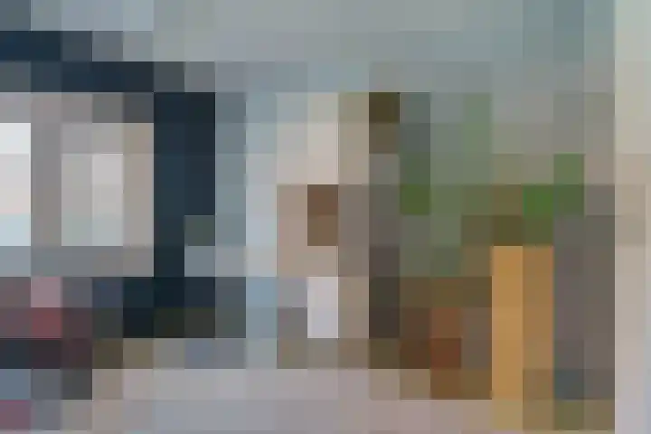 Anemonestraat 43 Eindhoven thumbnail 25