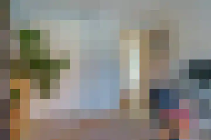 Anemonestraat 43 Eindhoven thumbnail 26