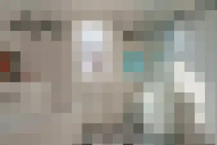 Anemonestraat 43 Eindhoven thumbnail 32