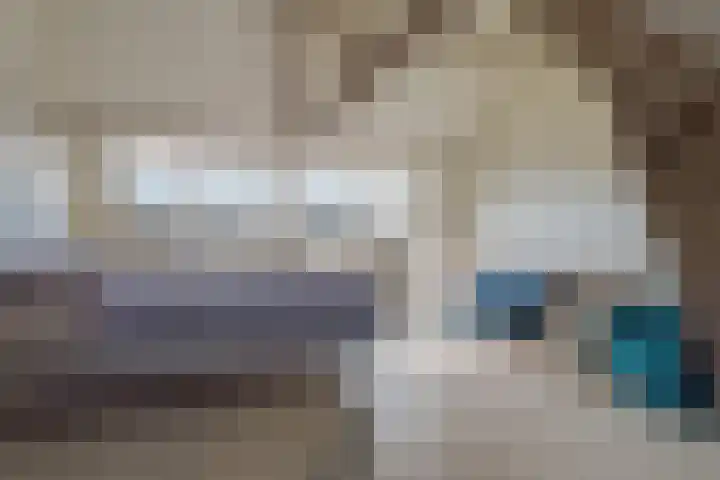 Anemonestraat 43 Eindhoven thumbnail 38