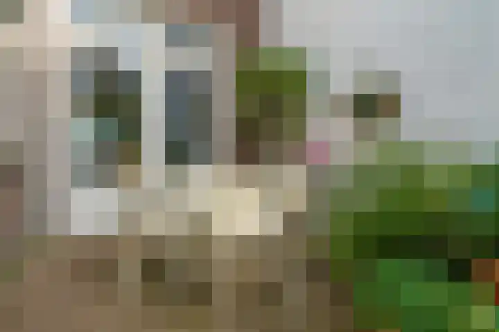 Anemonestraat 43 Eindhoven thumbnail 39