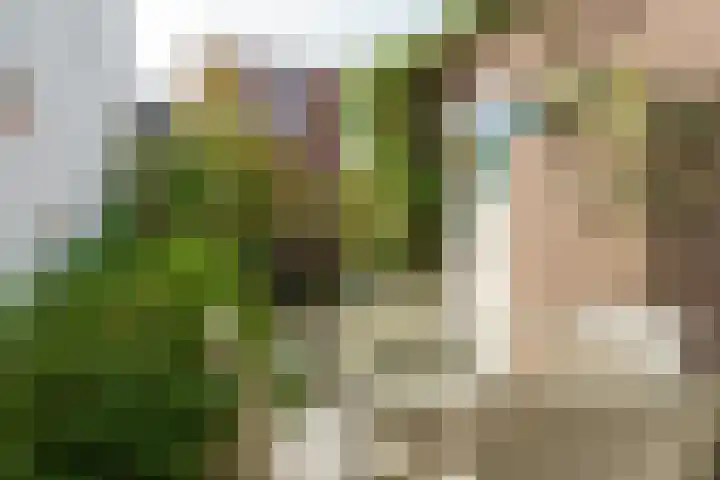 Anemonestraat 43 Eindhoven thumbnail 40