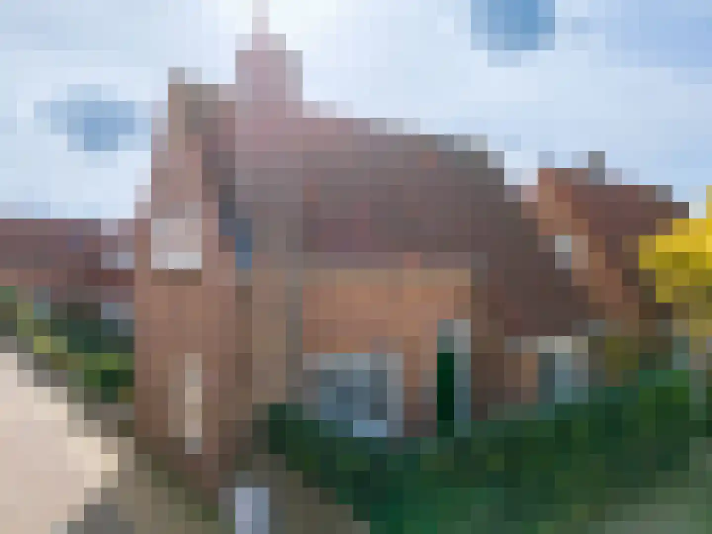 Anemonestraat 45 in Hilversum