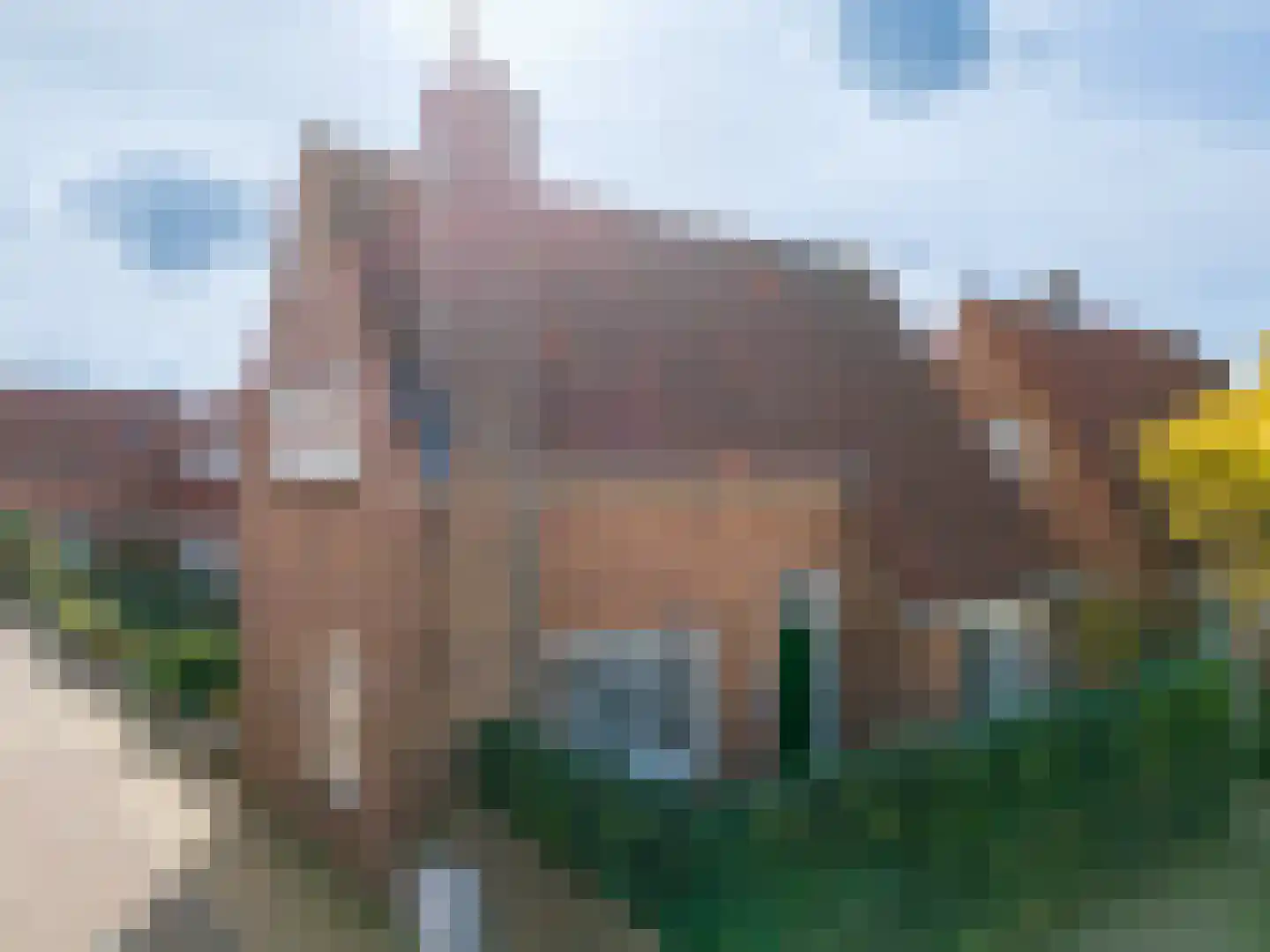 Anemonestraat 45 Hilversum