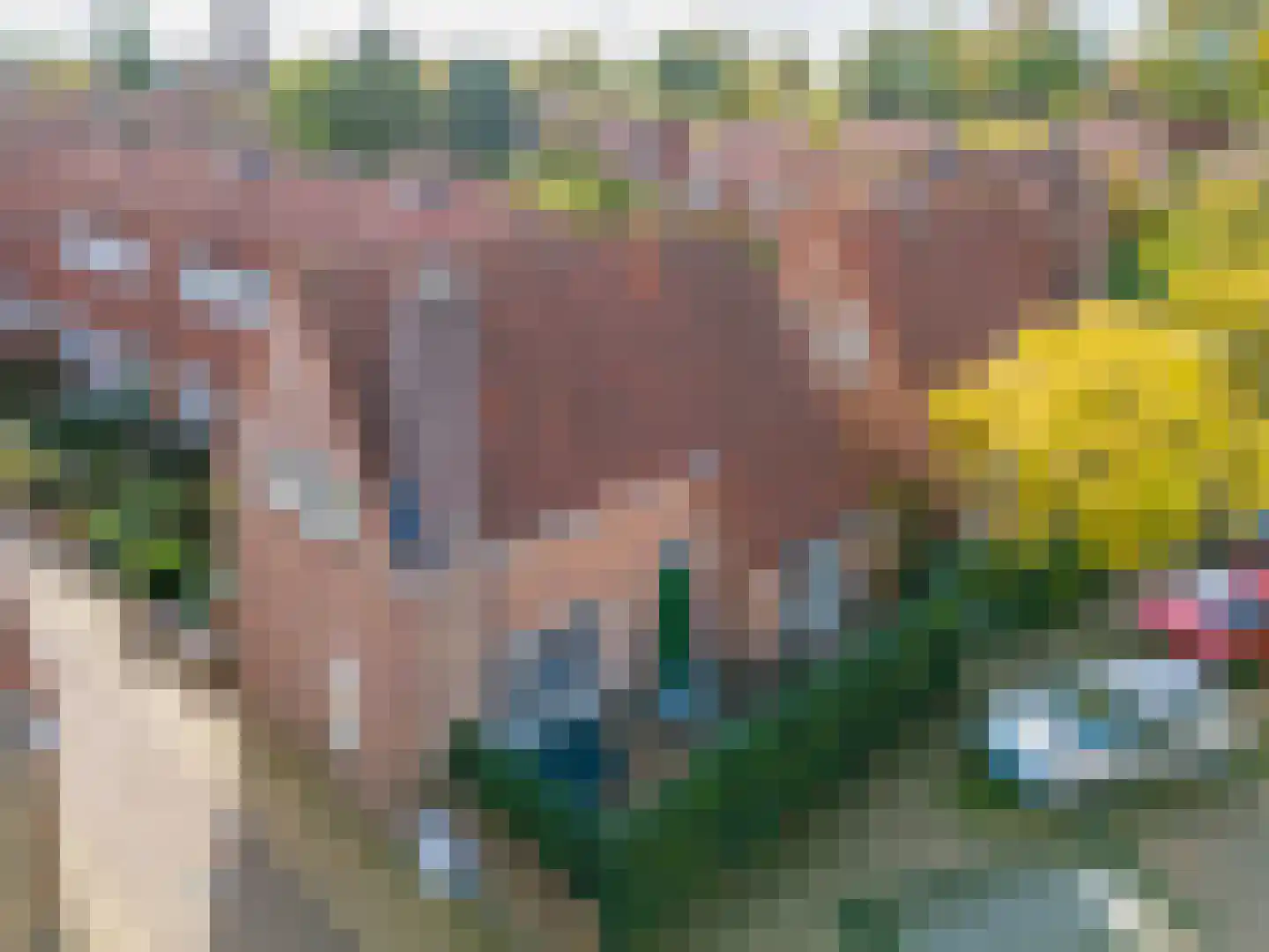 Anemonestraat 45 Hilversum thumbnail 40