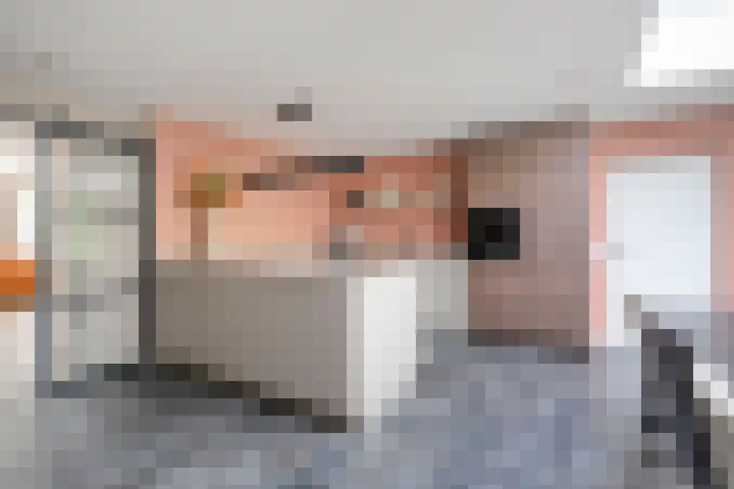 Anemoon 1 Nijverdal thumbnail 13