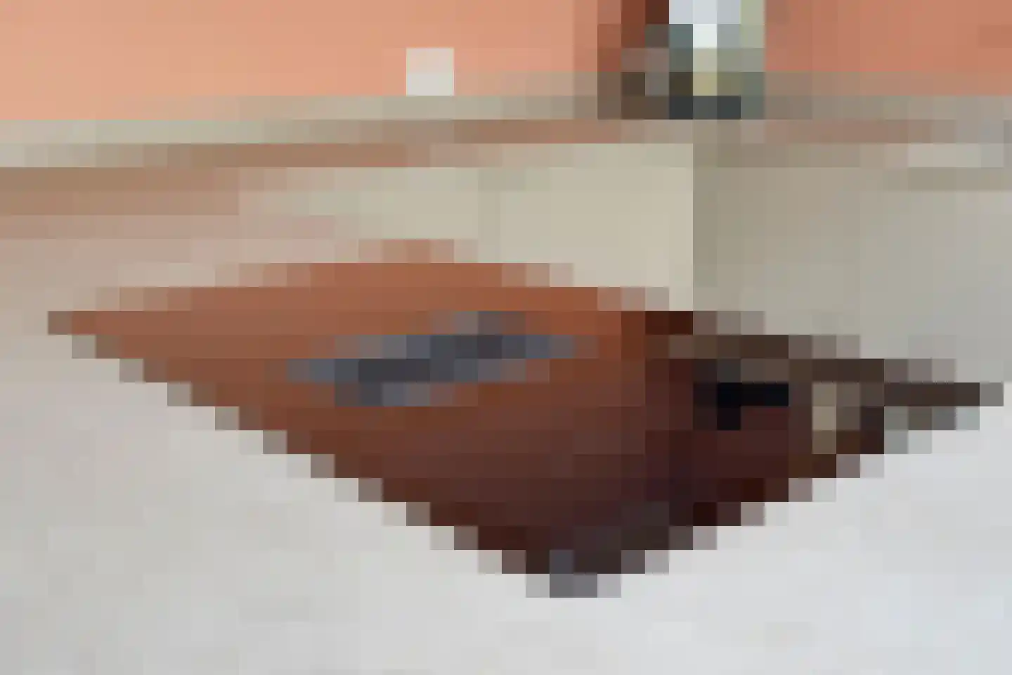 Anemoon 1 Nijverdal thumbnail 16
