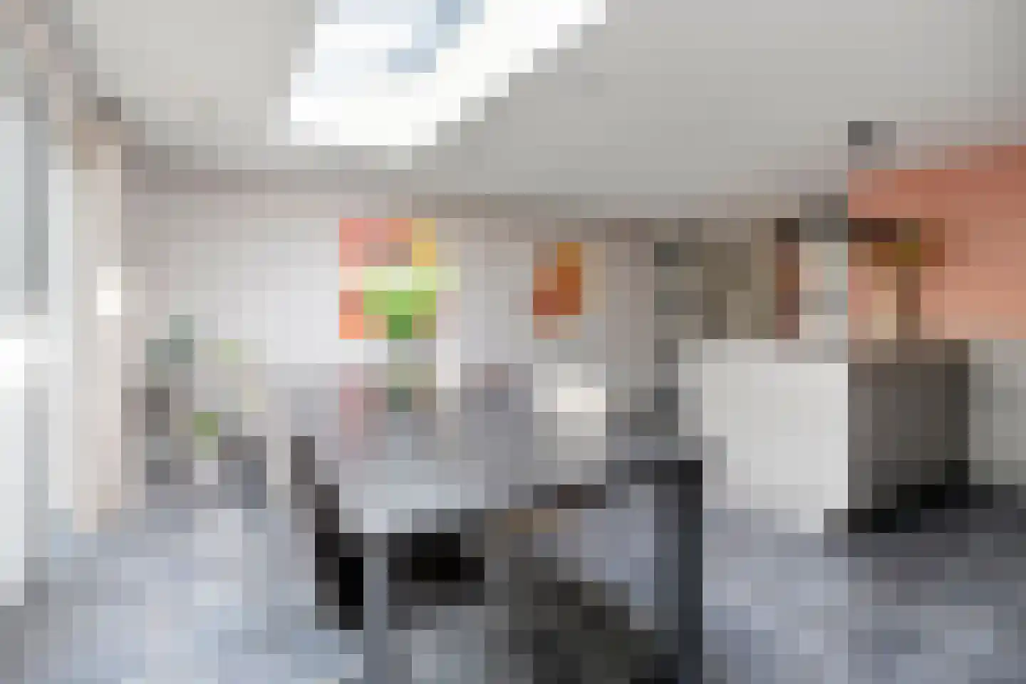 Anemoon 1 Nijverdal thumbnail 19