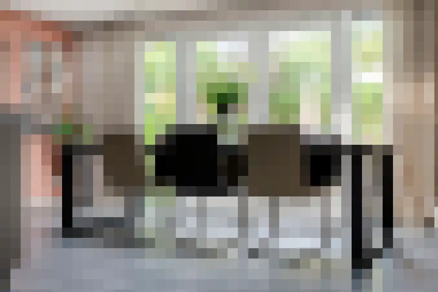 Anemoon 1 Nijverdal thumbnail 20