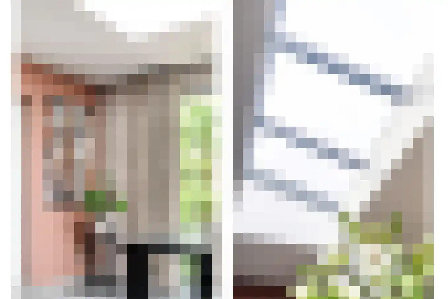 Anemoon 1 Nijverdal thumbnail 21