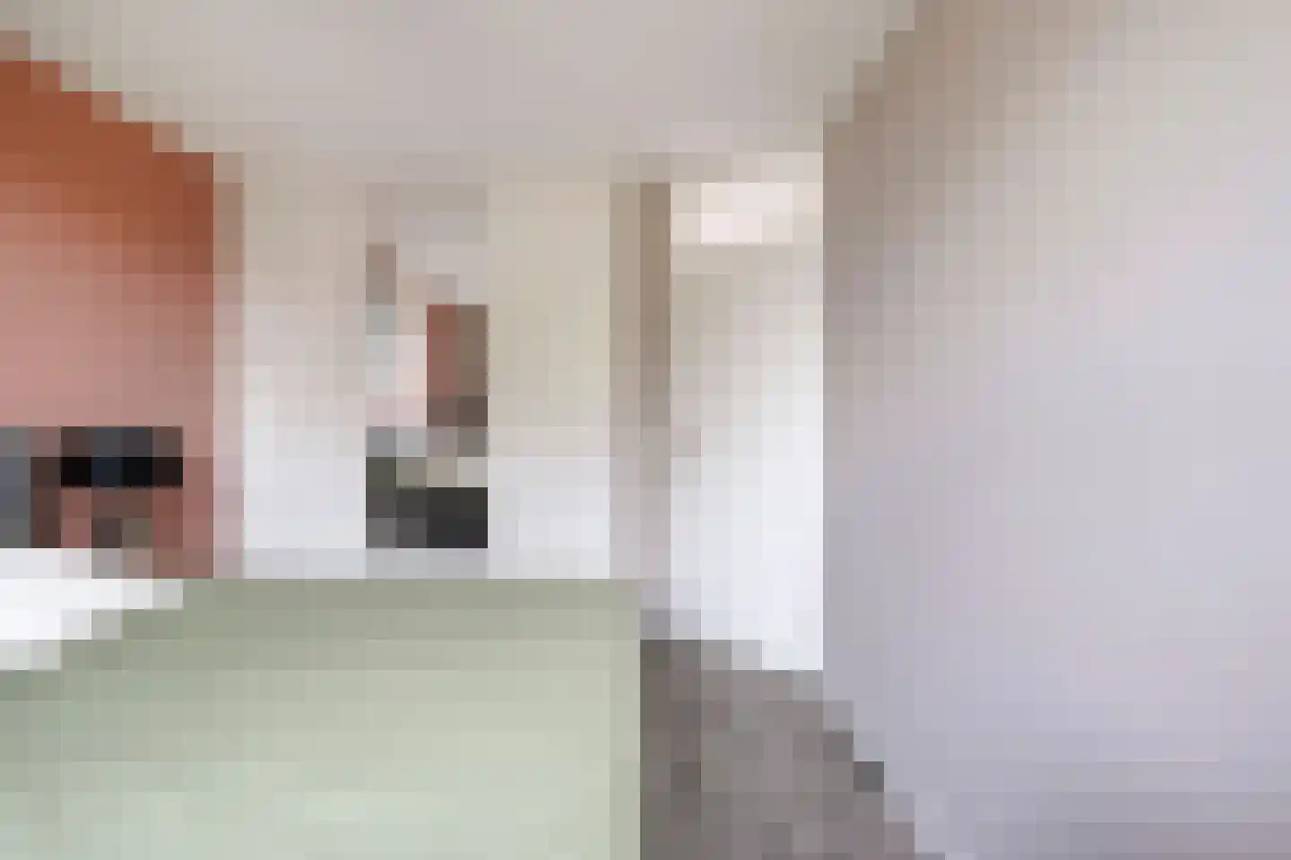 Anemoon 1 Nijverdal thumbnail 28